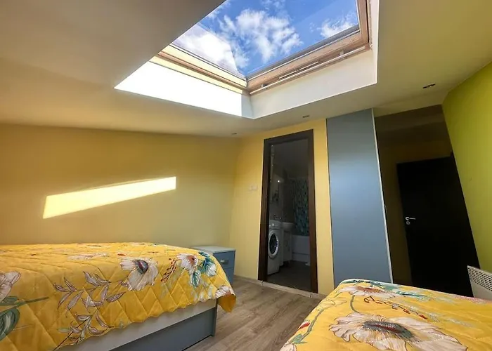 公寓 Pirin Sky 班斯科